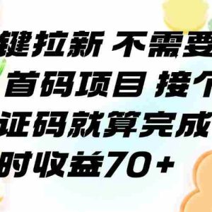 （15588期）一键拉新 不需要回传 首码项目 接个验证码就算完成 一小时收益70+