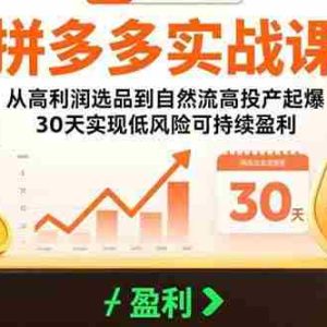 （15586期）拼多多实战课：从高利润选品到自然流高投产起爆 30天实现低风险可持续盈利