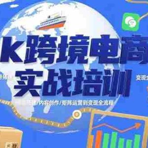 （15584期）Tk跨境电商实战培训：市场分析/账号搭建/内容创作/矩阵运营到变现全流程