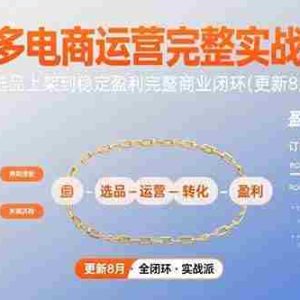 （15579期）拼多多电商运营完整实战体系，从选品上架到稳定盈利完整商业闭环(更新8月)