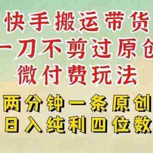 （15577期）快手黑科技搬运带货，一刀不剪过原创，微付费投流玩法，轻松日入四位数…