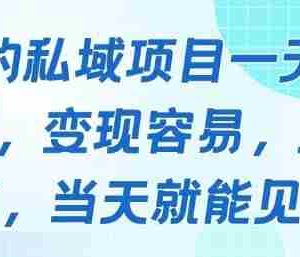 好做的私域项目一天变现1k+，变现容易，人群占比高，当天就能见到钱