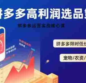 拼多多选品暴利技术实战课，拼多多高利润选品策略，拼多多限时低价标签秘诀
