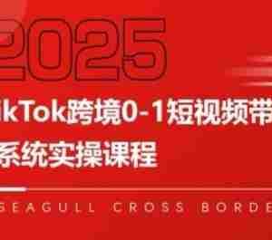 TikTok跨境0-1短视频带货，系统拆解TikTok跨境带货全链路，实现跨境可持续盈利