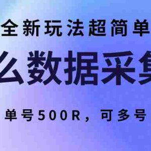 饿了么数据采集项目，全新玩法超简单，单号500R，可多号