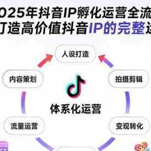 （15610期）2025年抖音IP孵化运营全流程，从0到1打造高价值抖音IP的完整运营体系