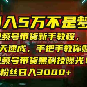 （15595期）月入5万不是梦！视频号带货新手教程，7天速成，手把手教你赚钱！视频号…