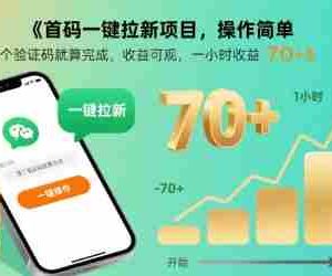 首码一键拉新项目，操作简单，接个验证码就算完成，收益可观， 一小时收益70+【揭秘】