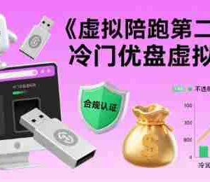 虚拟陪跑第二期，冷门优盘虚拟玩法，不违规，利润可观