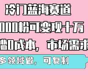 冷门蓝海赛道，1000粉可变现十W，无门槛0成本，市场需求大，可多领域做，可复制性强