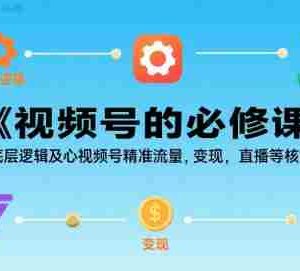 视频号的必修课，视频号的底层逻辑及核心视频号精准流量，变现，直播等核心