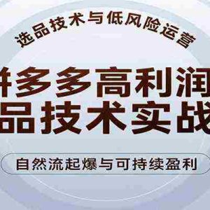 拼多多高利润选品技术实战课，手把手教学自然流高投产起爆，实现低风险可持续盈利