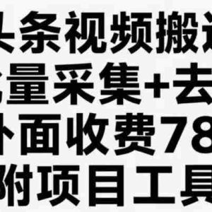 今日头条视频搬运玩法，软件一键去重，轻松日入500+附项目工具