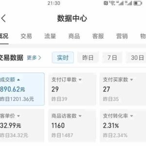 2025版多多冷门虚拟U盘项目玩法，单店铺月变现1w+，稳赚不赔！