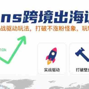 Ins跨境出海训练营，实战驱动玩法，打破不涨粉怪象，玩转社媒自然流量