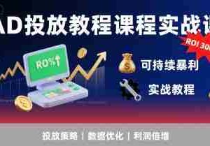 AD投放教程课程实战课，实现广告ROI300%+可持续暴利