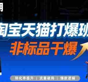 淘宝天猫打爆班原创高阶技术第72期，非标品干爆