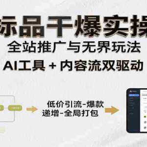 非标品干爆实操课：含多案例及操盘方法，从选品到推广、成交，助力打造爆款实现盈利