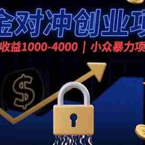 （15642期）美金对冲创业项目，日收益1000-4000，小众暴力项目