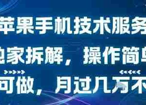 苹果手机技术服务，独家拆解，操作简单，小白可做，月过1W不是梦