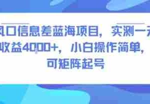 风口信息差蓝海项目，实测一天收益4k+，小白操作简单，可矩阵起号