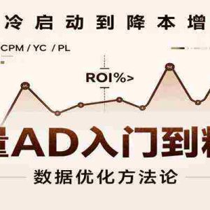 巨量AD入门到精通，含工具、设置、定向、优化等广告投放全流程