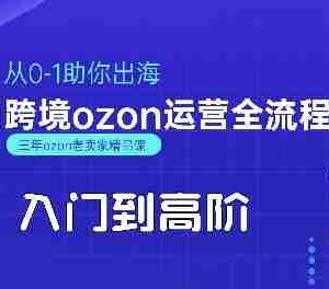 OZON入门到高阶全流程，从0-1助你出海，跨境ozon运营全流程