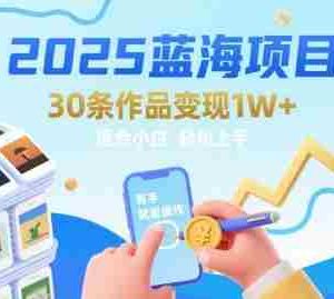 2025蓝海项目30条作品 变现1w+ 有手就能操作适合小白做