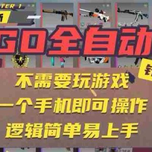 （15679期）CSGO自动捡漏项目，最新玩法，不用挂机不用玩游戏，一个手机即可操作。…