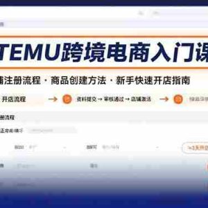 （15682期）TEMU跨境电商入门课，店铺注册流程，商品创建方法，新手快速开店指南
