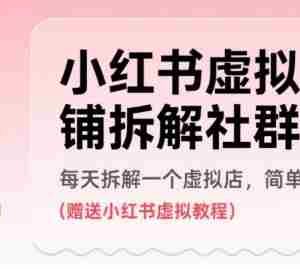 小红书虚拟店铺拆解社群，每天拆解一个虚拟店，简单实用(赠送小红书虚拟教程)