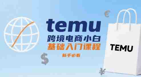 temu跨境电商小白基础入门课程，新手必看