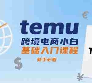 temu跨境电商小白基础入门课程，新手必看