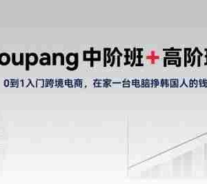 Coupang中阶班+高阶班，0到1入门跨境电商，在家一台电脑挣韩国人的钱