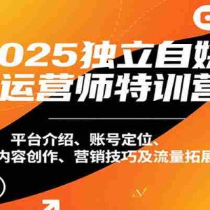 2025独立自媒体运营师特训营：平台介绍、账号定位、内容创作、营销技巧及流量拓展等