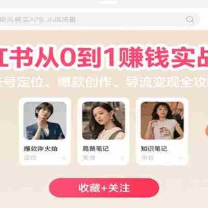 小红书从0到1赚钱实战课：账号定位、 爆款创作 、导流变现全攻略
