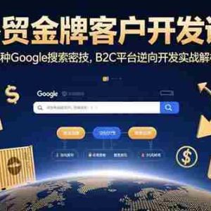 （15724期）外贸金牌客户开发课，12种Google搜索密技，B2C平台逆向开发实战解析