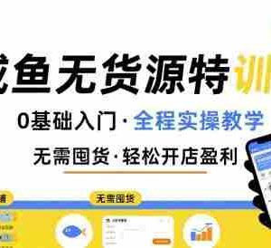 无货源特训营，0基础带你玩转咸鱼无货源