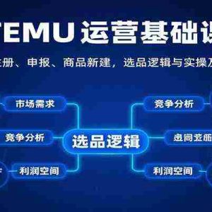 TEMU运营基础课：涵盖店铺注册、申报、商品新建，选品逻辑与实操及定价策略等