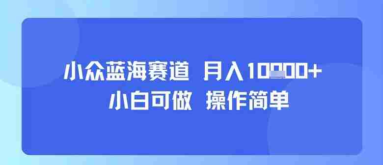 小众蓝海赛道,小白可做,操作简单,每天30分钟,月入1W+