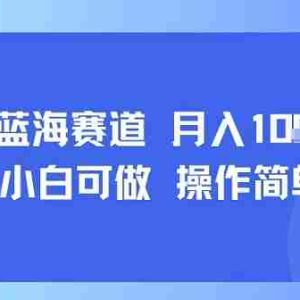 小众蓝海赛道，小白可做，操作简单，每天30分钟，月入1W+