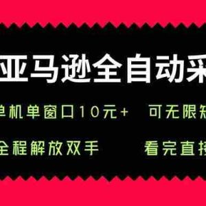 亚马逊全自动采集，单机单窗口一天10+，可无限矩阵去做