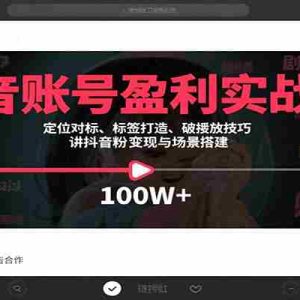 抖音账号盈利实战课，定位对标、标签打造、破播放技巧，讲涨粉变现与场景搭建