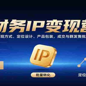 财务IP变现营：9大变现方式、定位设计、产品包装，成交与群发售批量转化