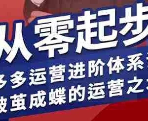 拼多多运营进阶系统课，从零起步，多多运营进阶体系课，破茧成蝶的运营之术