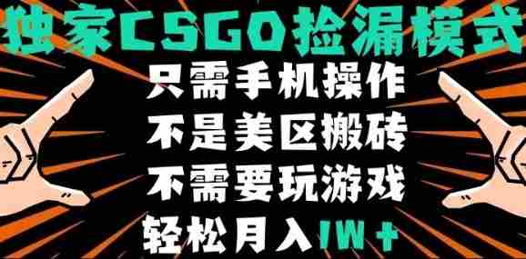 CSGO自动捡漏项目,最新独家玩法,不是美区搬砖,不需要了解和玩游戏,新手小白轻松月入1W+【揭秘】