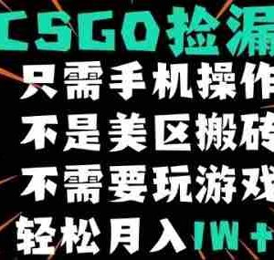 CSGO自动捡漏项目，最新独家玩法，不是美区搬砖，不需要了解和玩游戏，新手小白轻松月入1W+【揭秘】