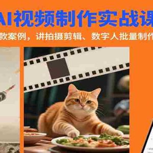 AI视频制作实战：含工具使用、爆款案例，讲拍摄剪辑、数字人批量制作与账号运营变现