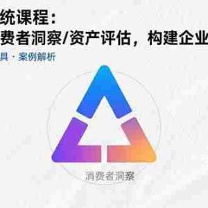 （15772期）品牌建设系统课程：战略定位/消费者洞察/资产评估，构建企业核心竞争力