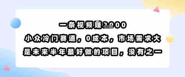 一条视频挣1k,小众冷门赛道,0成本,市场需求大,是未来半年最好做的项目,没有之一